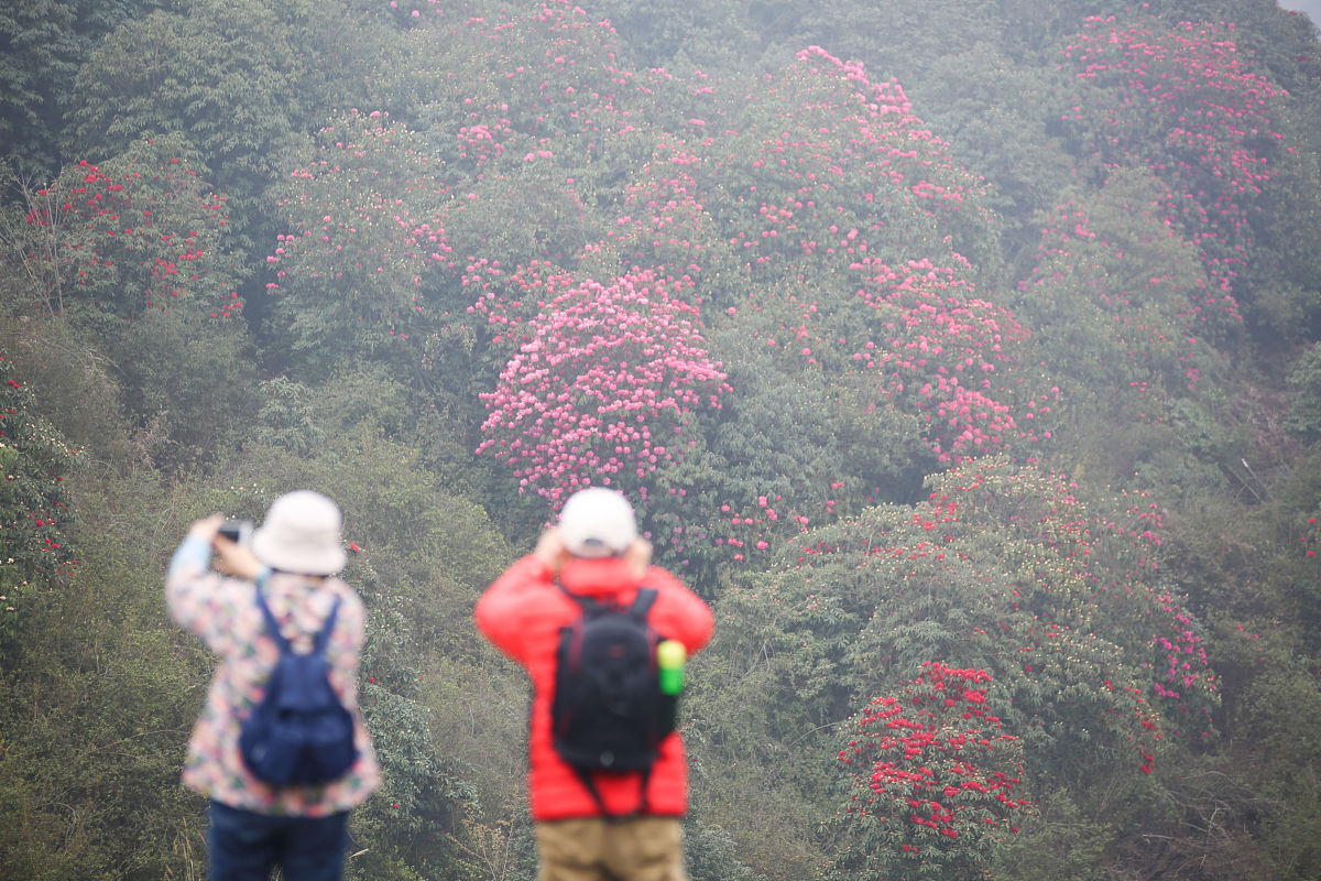 2023年贵州哪些职业学校有工艺美术专业