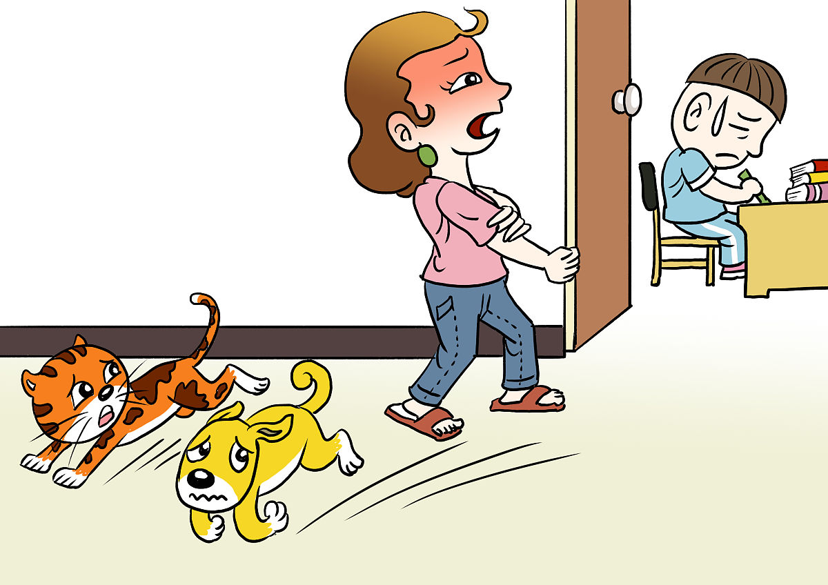 如何抓猫不被误伤