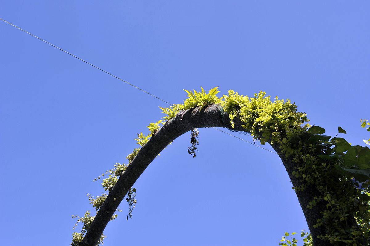 中考作文：梦想的旅程 - 梦想岛的奇妙之旅