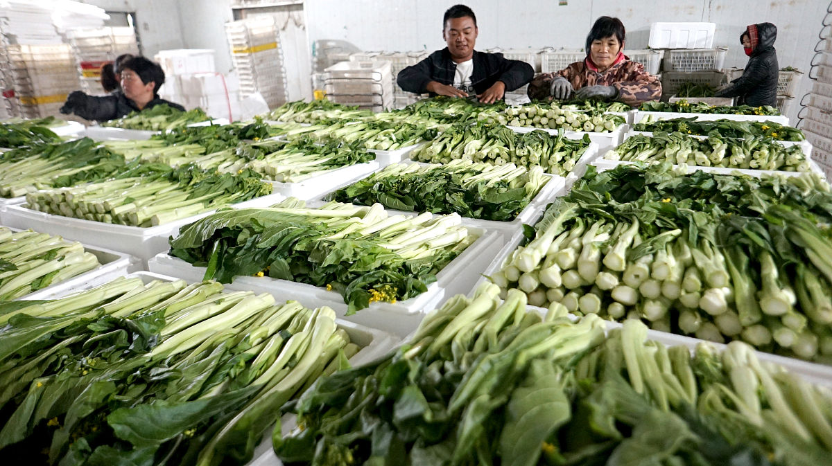 重庆市农业机械化学校建筑工程施工专业是不是热门专业？