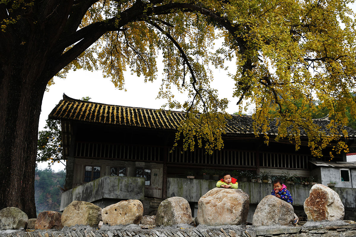 2020年重庆旅游职业学院园林技术专业招生