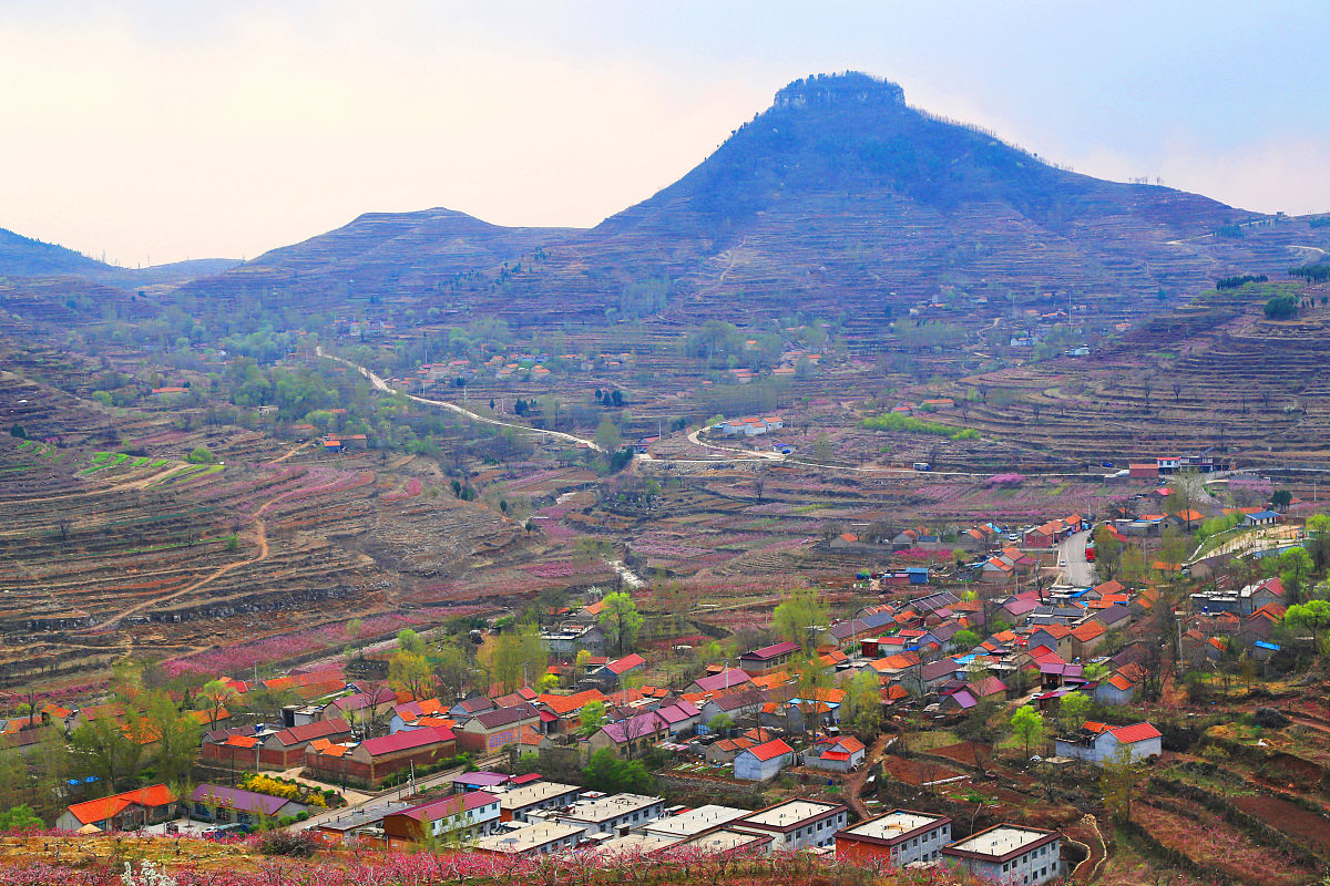 2020年04月11日,山东临沂岱崮地貌景区.每年4月桃花盛开,整个地貌在桃
