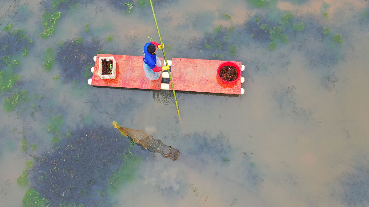 四川省水产学校专业介绍：2021年招生专业及未来发展