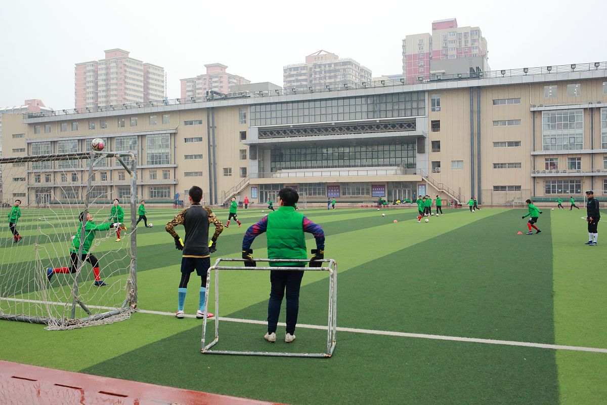 天津市体育运动学校：培养体育人才的摇篮