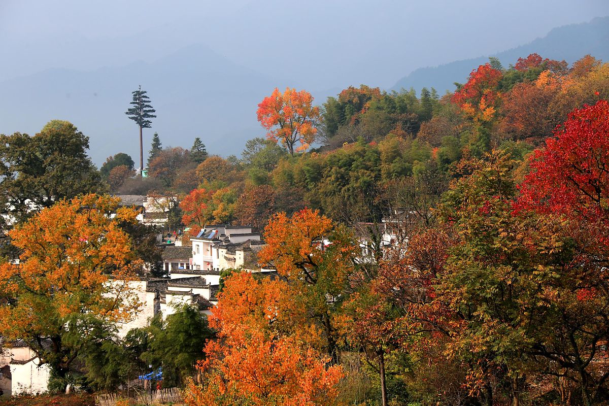 生成一首诗6个字一段