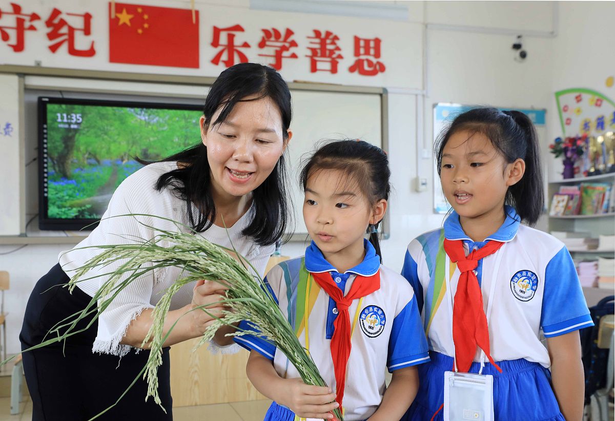 2020年柳州小学报名时间公布，在线报名方法及流程详解