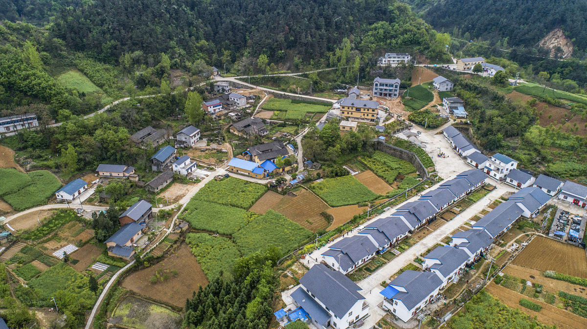 月坪村2023年巩固脱贫攻坚工作总结