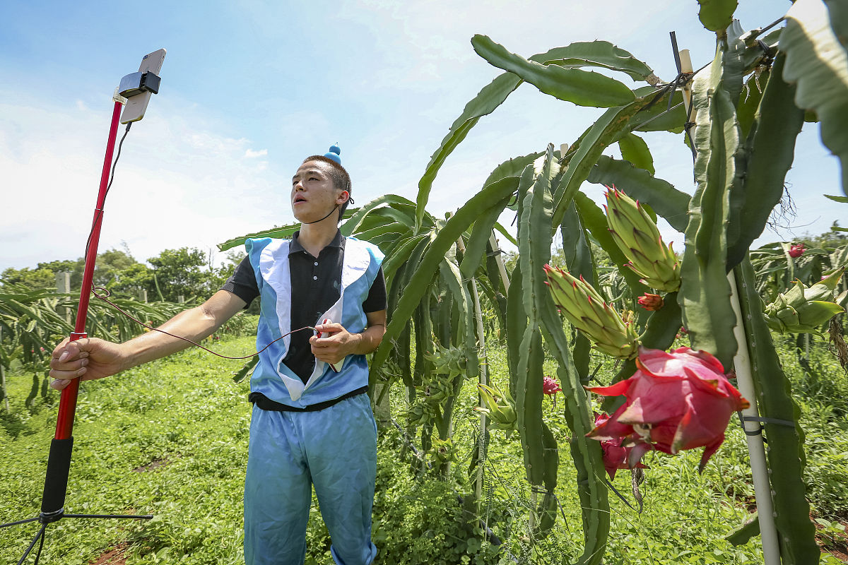 淘宝直播快速抢拍技巧：掌握方法，秒杀心仪商品！
