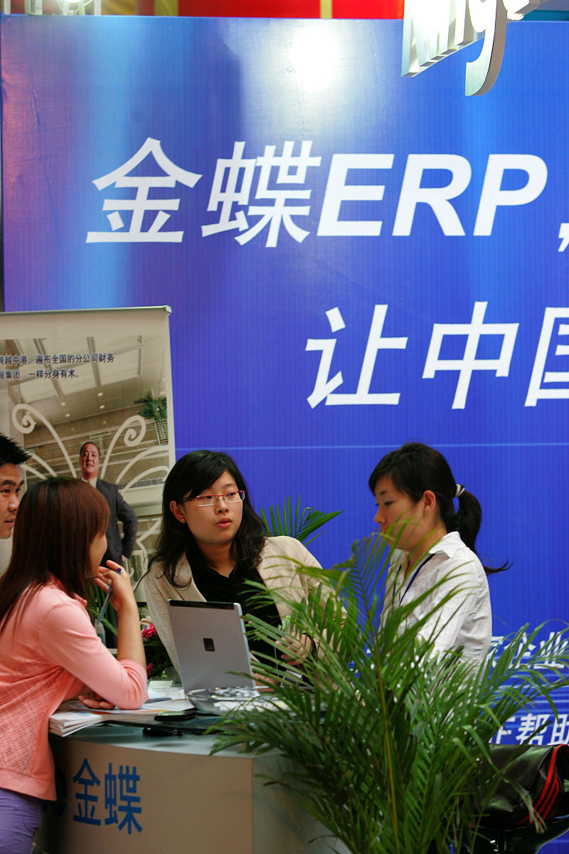 金蝶的插件是什么语言编写的？