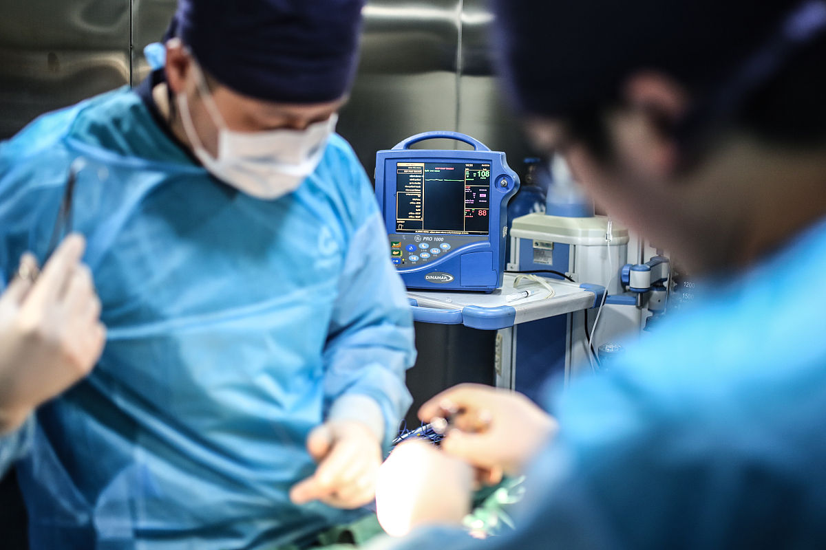 哈哈哈哈哈 重复一遍我说的话