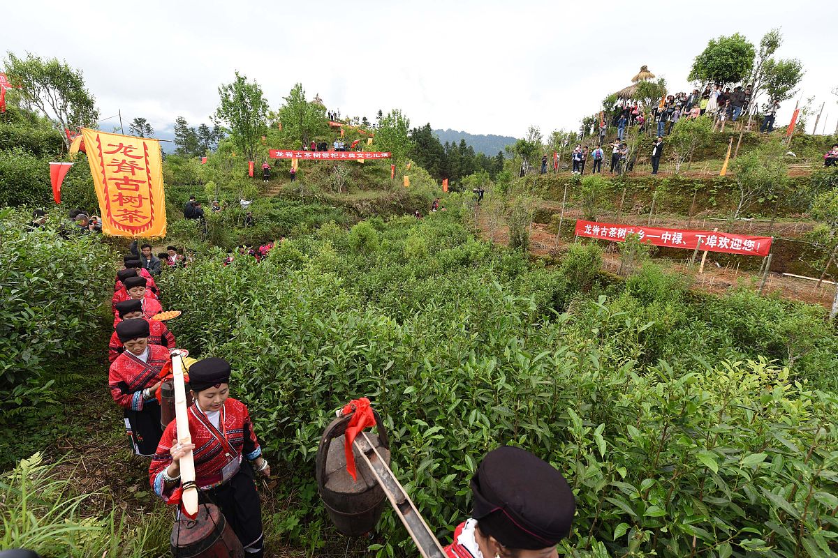 写20条简短的微博体评论：景迈山申遗成功！90秒沉浸式体验