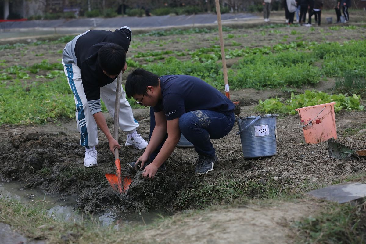 大学生劳动课心得: 除草中的成长与感悟