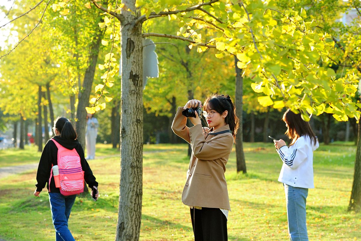 天津职业技术师范大学招生办电话及联系方式 - 报考指南