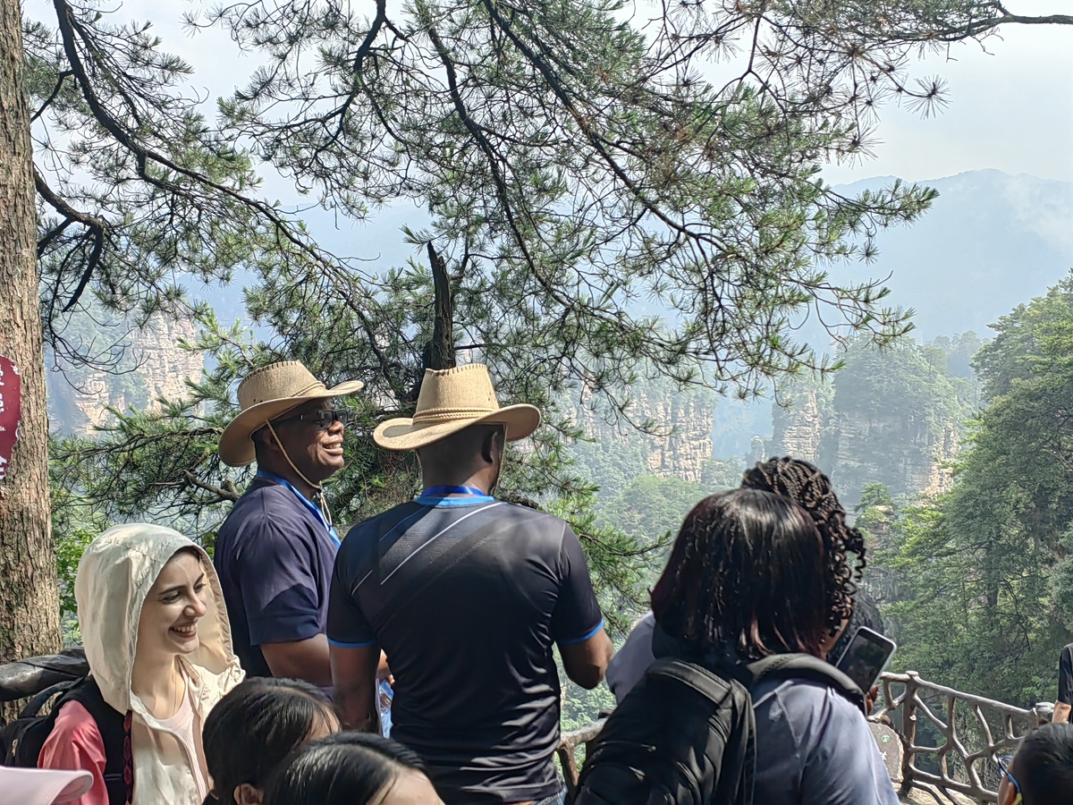 桂林桂花公社游客体验分析：提升景区吸引力需关注的五大问题