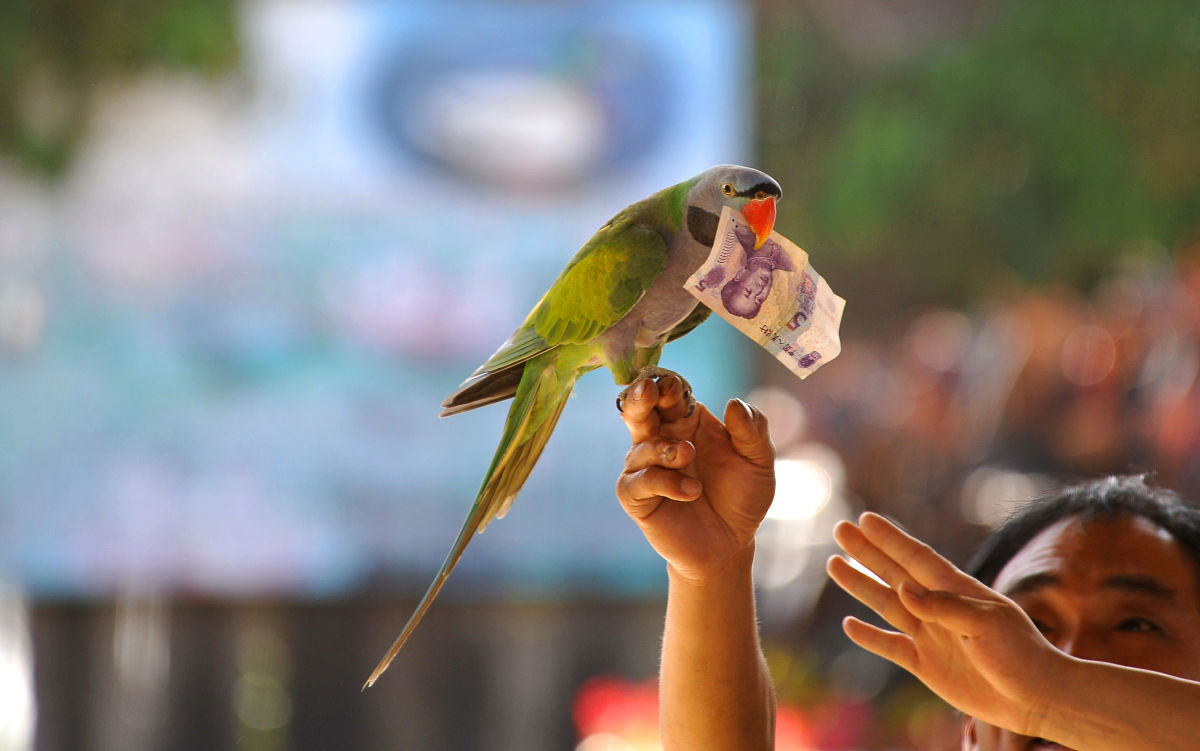 宁夏职业学校饭店服务专业就业前景广阔，未来可期！
