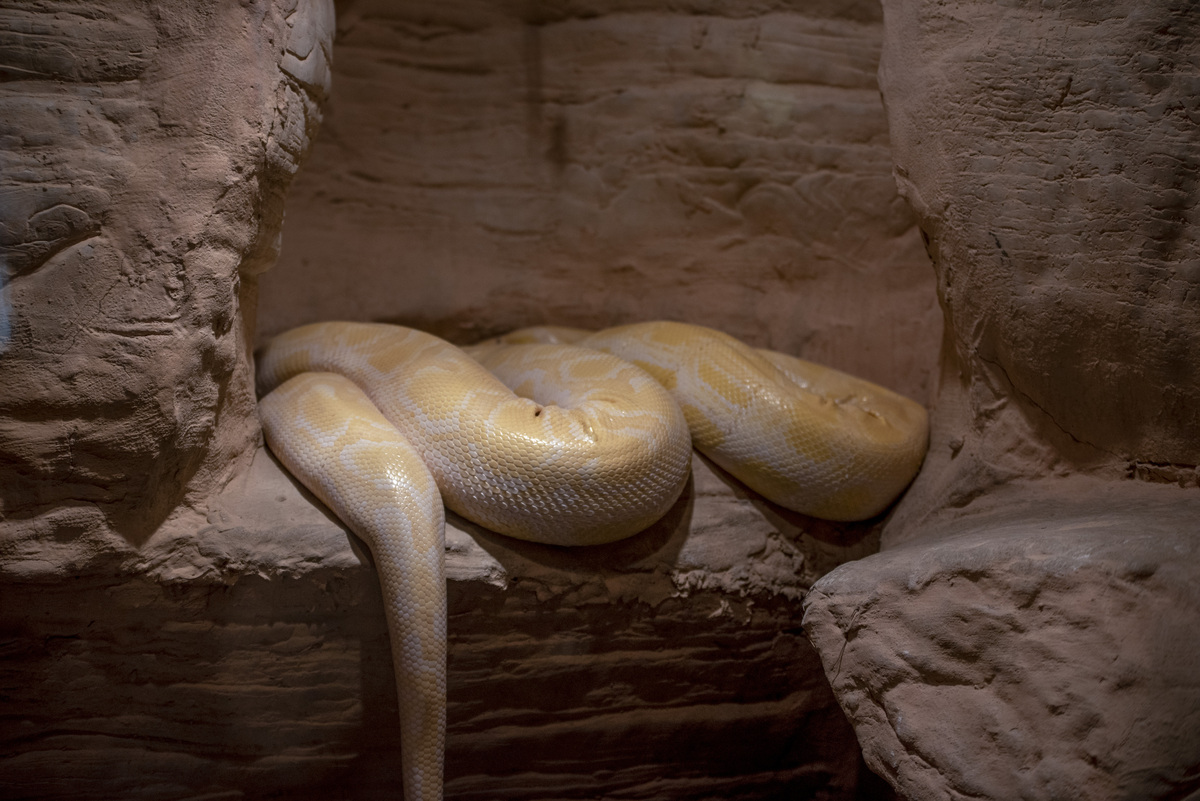 4月中国适合旅行的城市