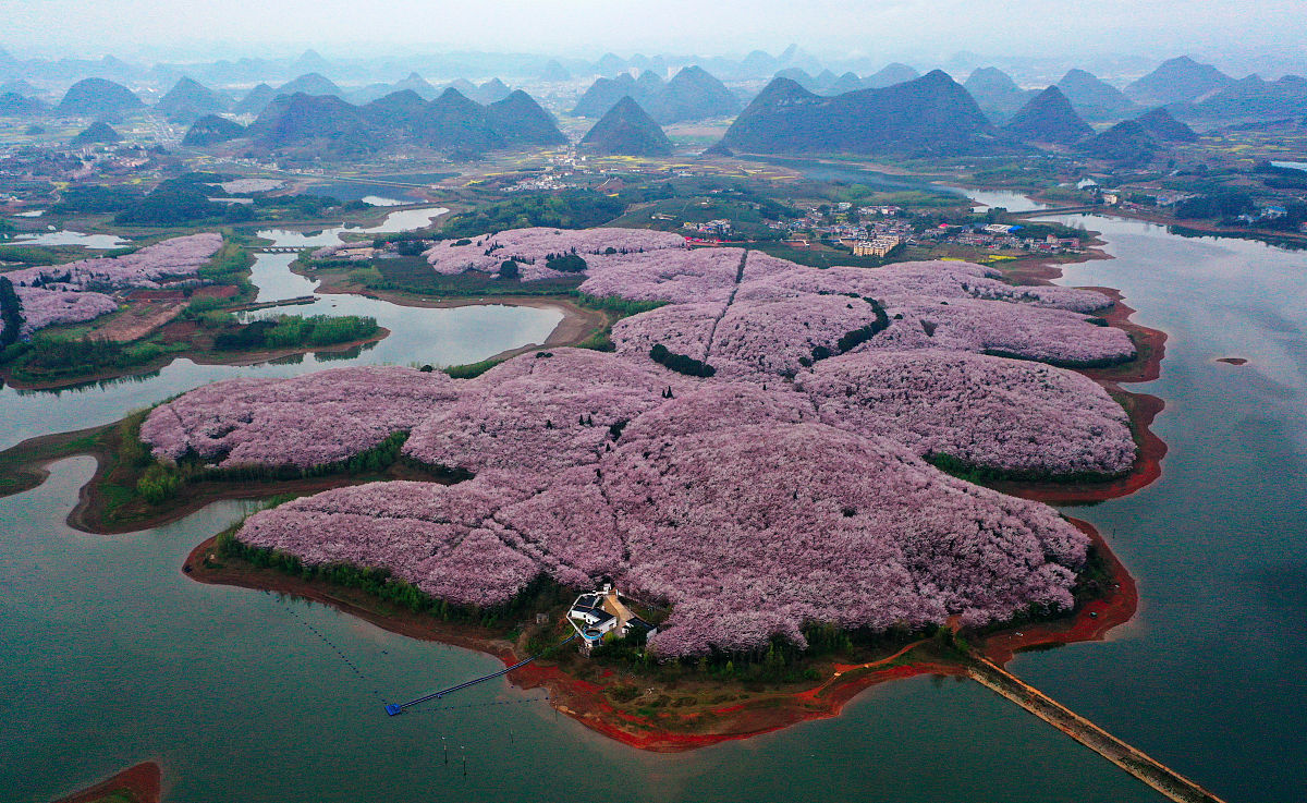 贵阳2022年高中与中专区别：选择哪种教育形式更适合你？