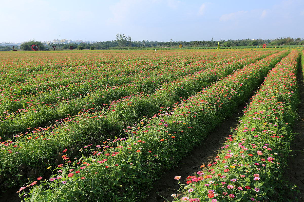 杨凌职业技术学院植物保护与检疫技术专业都学些什么