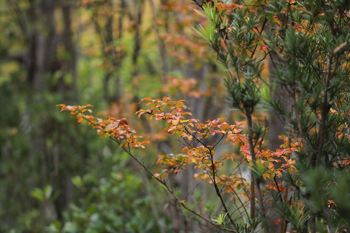 贵州中专生报考大学指南：适合你的大学选择