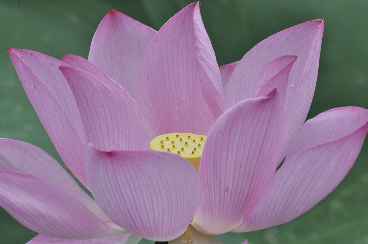 广西科技大学工程管理专业好就业吗