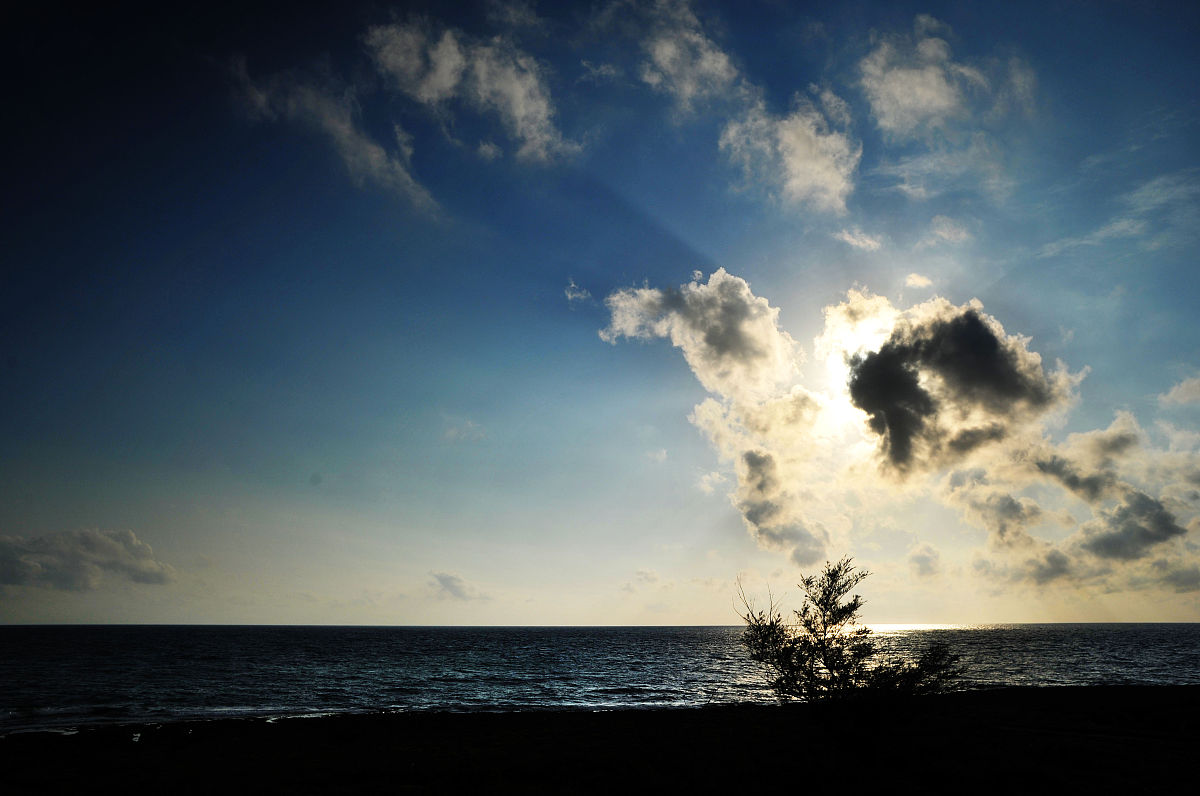 黎明职业大学商务英语专业专业可以选择哪些就业方向