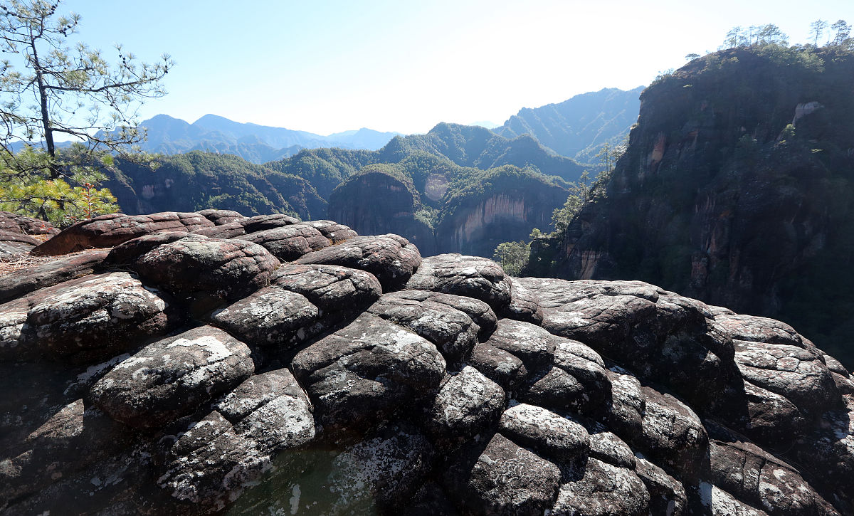 云南南方青年进修学院2019年工程管理专业招生简介