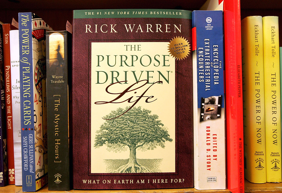 use the words naughty audience soldier literary stick supply development prove treat reject to make a short paragragh about a girl called Lily