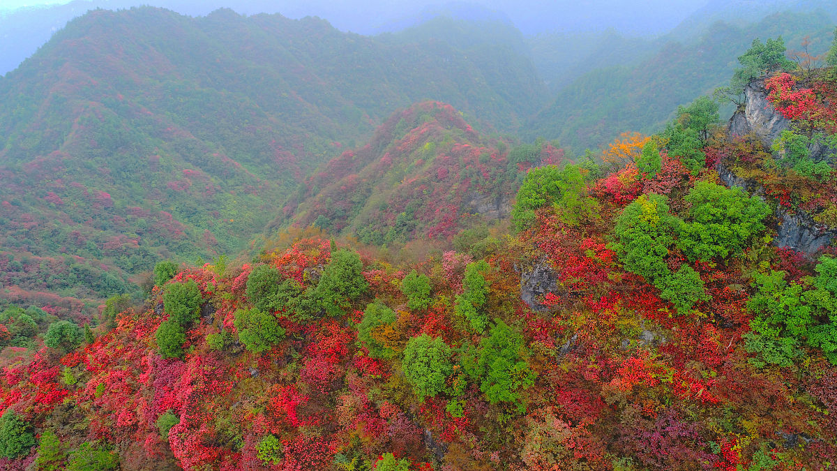 2021年重庆市立信职业高级中学招生简章 - 优质教育，成就未来