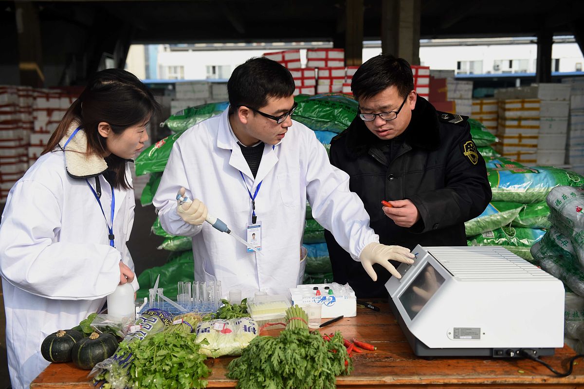 中国虫害检测市场分析：潜力巨大，前景广阔