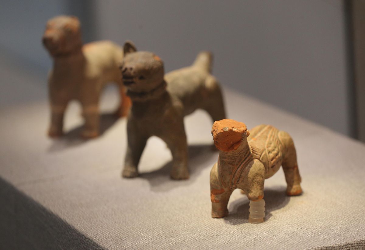 2021年4月20日,南京六朝博物馆,展览共展出该墓出土并清理完成的200余