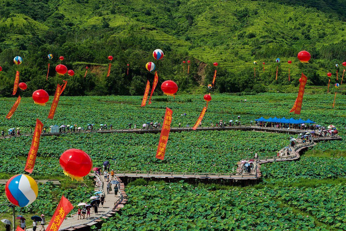 乡村振兴中国行纪录片观后感：1000字学习心得总结