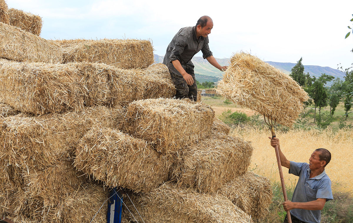 《中国土地法大纲》中体现了群众支持的部分有哪些