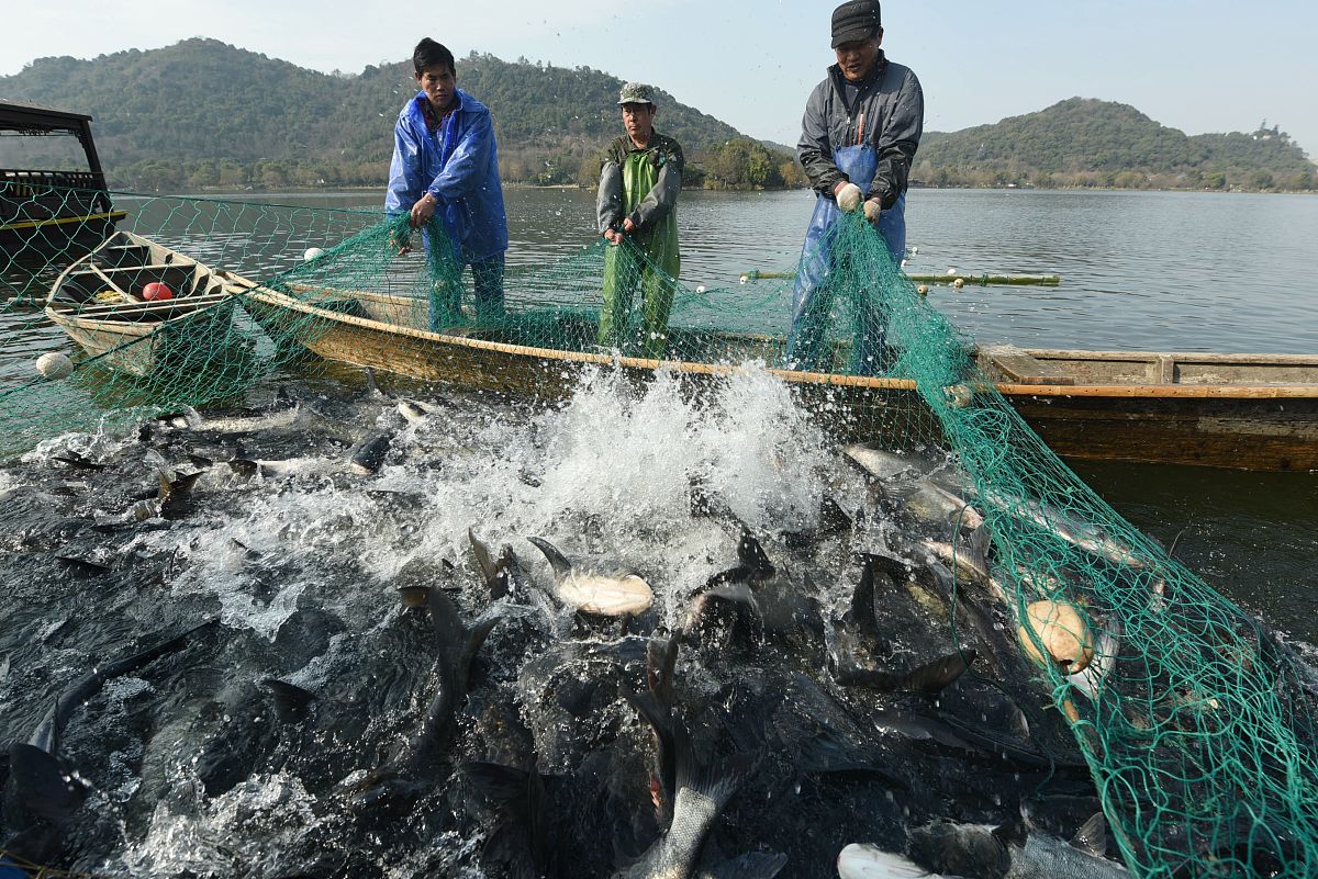 智慧捕鱼：提高效率、降低成本、保护环境的未来趋势