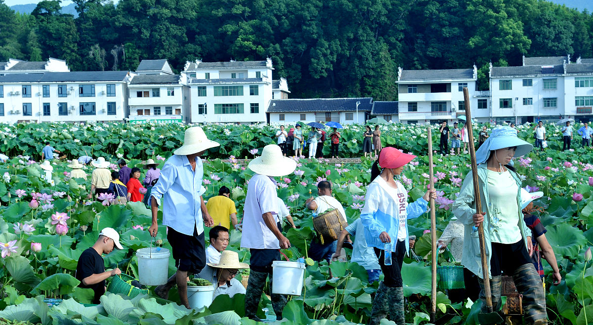 驻村工作汇报 - 积极服务村民，推动乡村发展