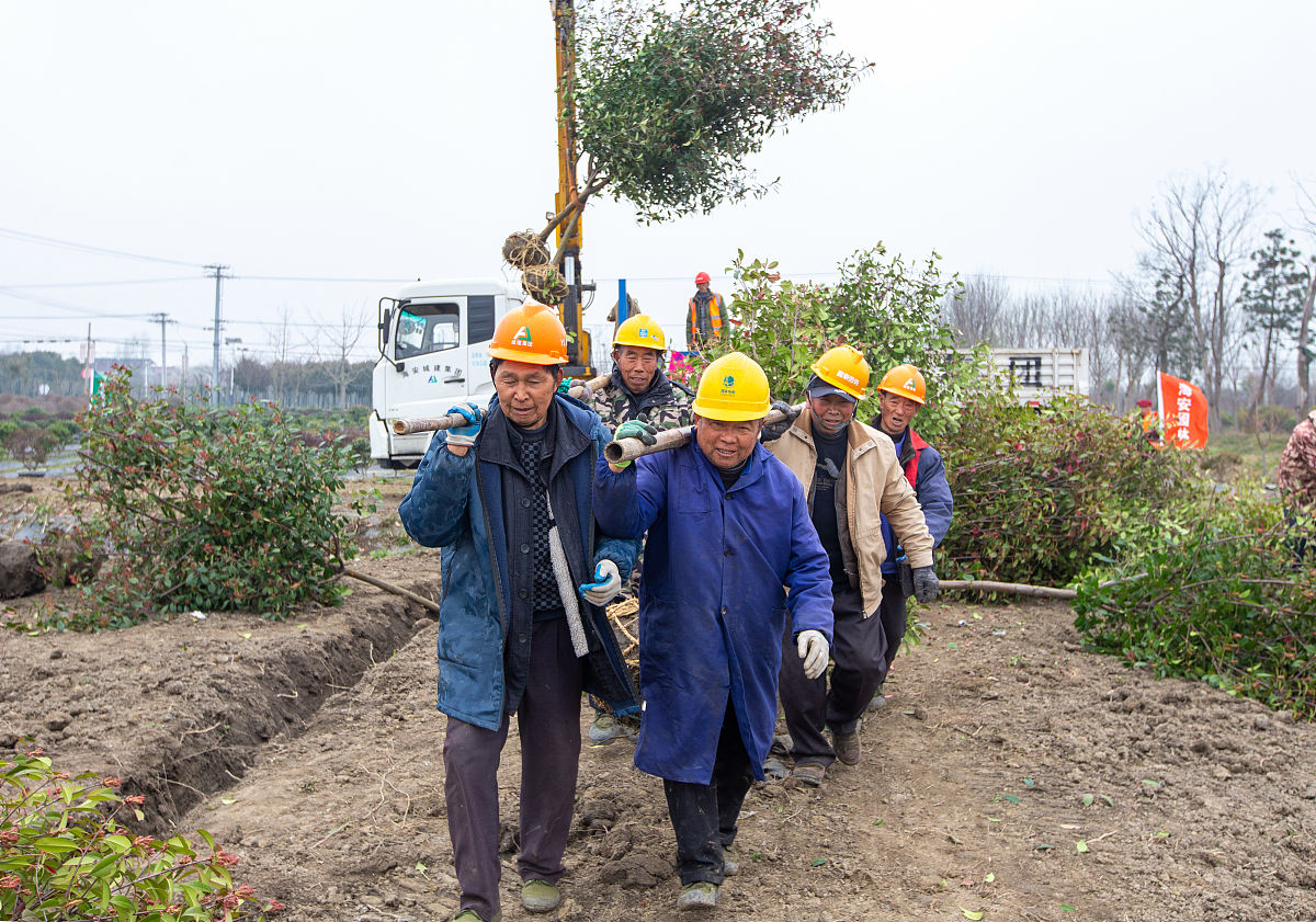 曲靖市农村供水保障专项行动：背景与目标