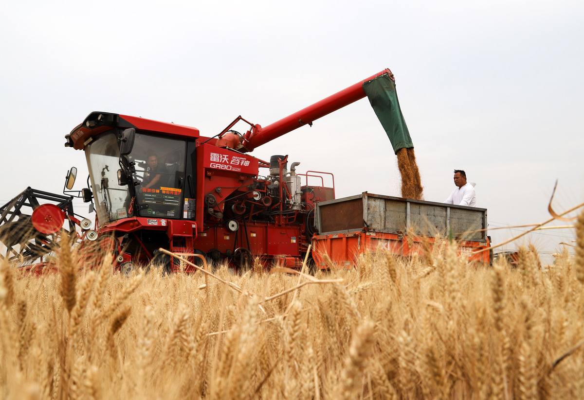 水稻收获机械：提高效率，降低成本的利器