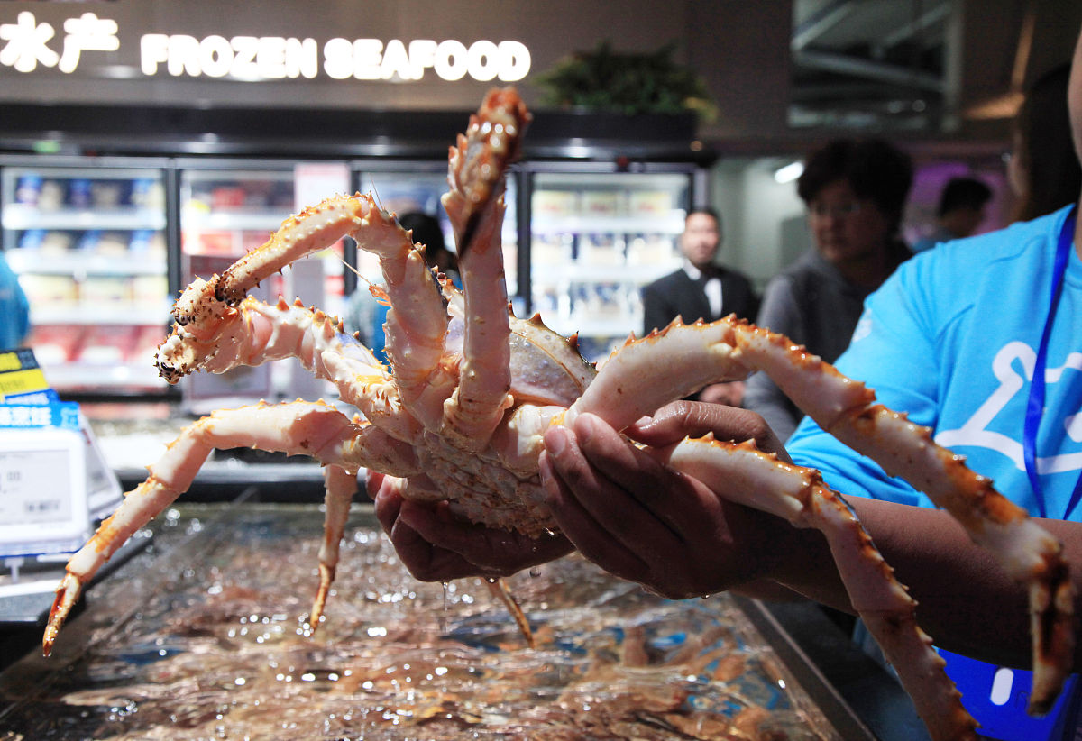 帝王蟹数量锐减！探究背后的科学真相