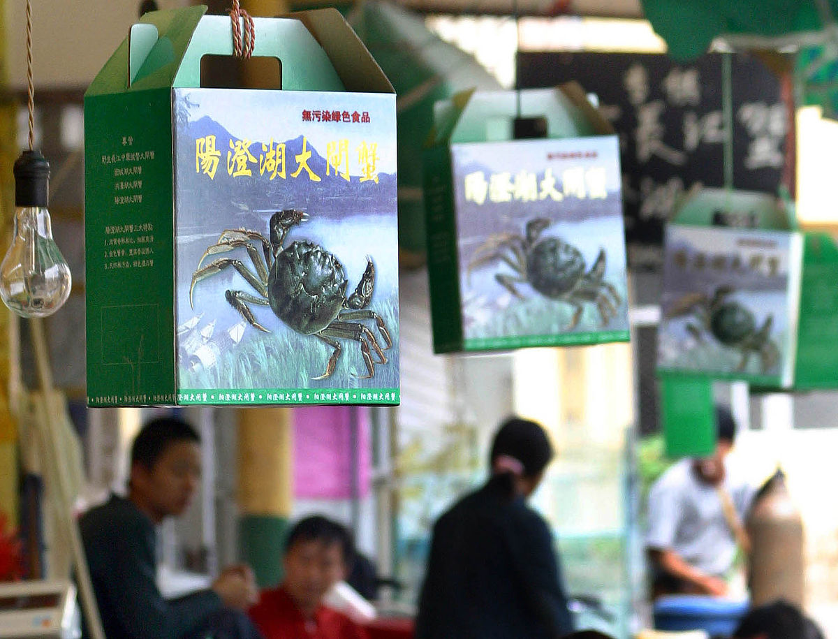 你是农垦胜利粮油食品展销中心的文员现在店里新进货了 蟹满堂蟹礼品券 现在你要发微信视频号做推广写一小段配视频的推广文案写出蟹满堂 阳澄湖大闸蟹的特点 购买找农垦胜利粮油食品展销中心 订购电话045155197001这些内容 明白了请回复OK 并撰写文案