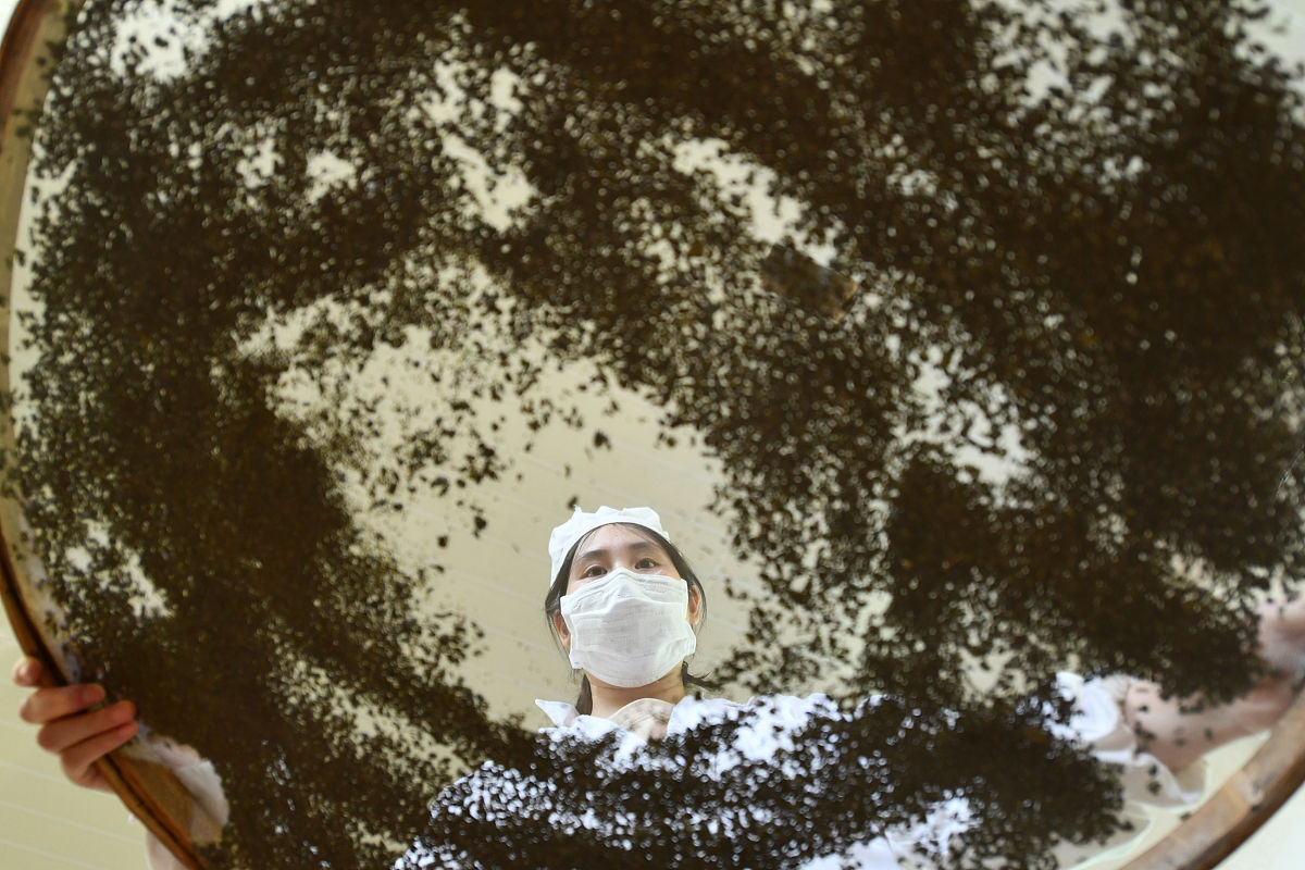 贵州医科大学临床医学专业是不是热门专业