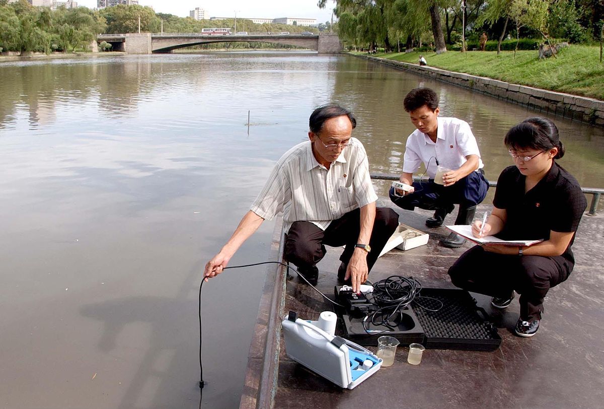 河涌水质调研方案撰写指南：目的、范围、方法、数据、分析、报告