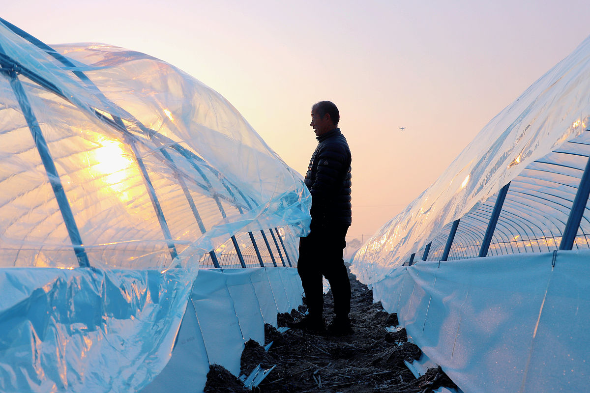 南通师范大学2022年招生简章：普通本科及高水平运动员招生计划