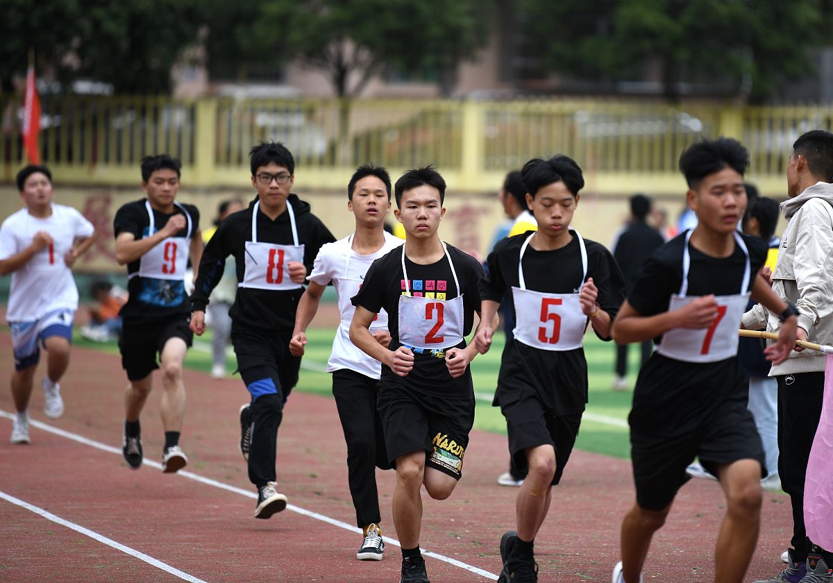 运动健儿，激情飞扬：XX学校XX届运动会通讯稿集锦