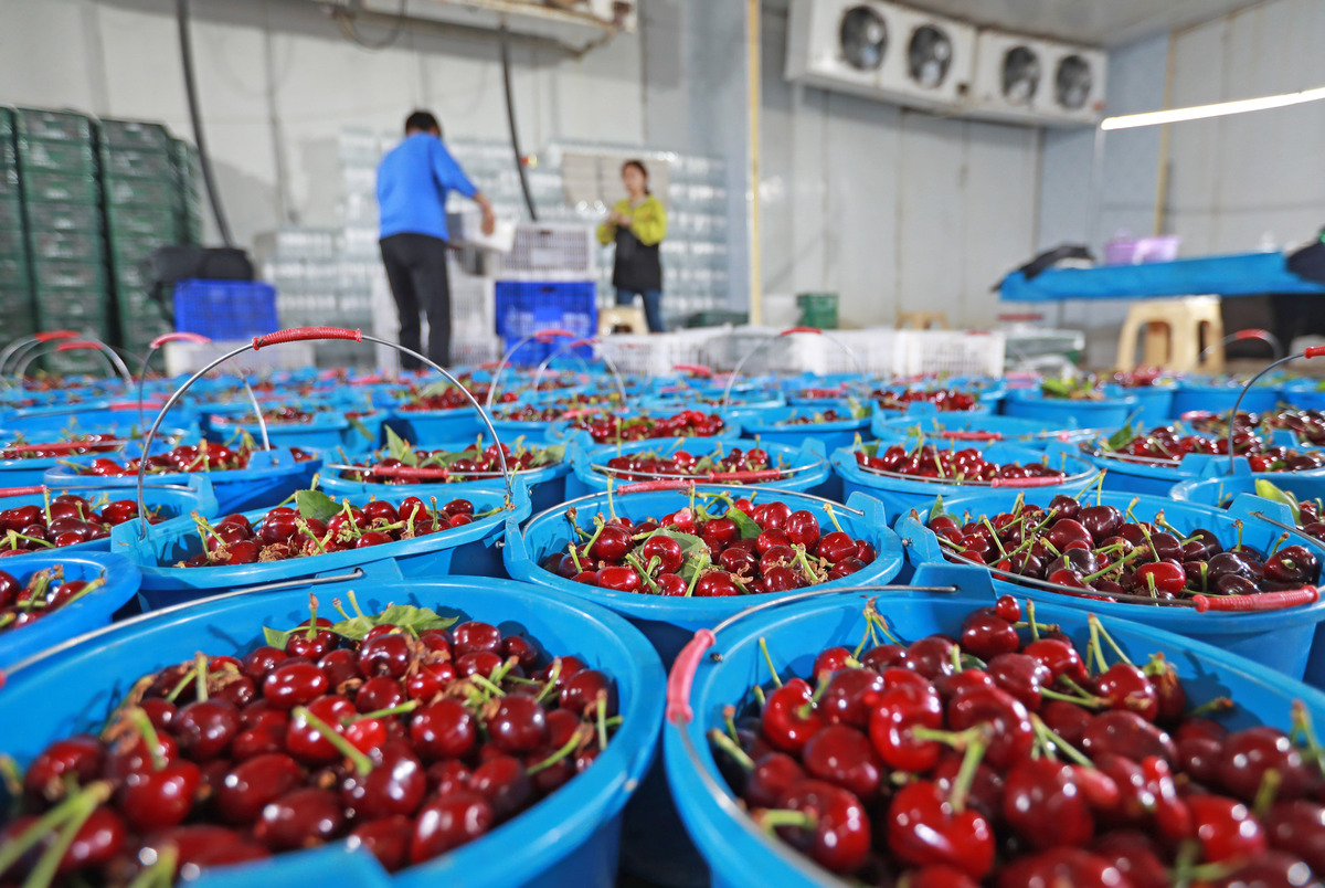 杭州辣椒批发市场大全：价格实惠、品种齐全