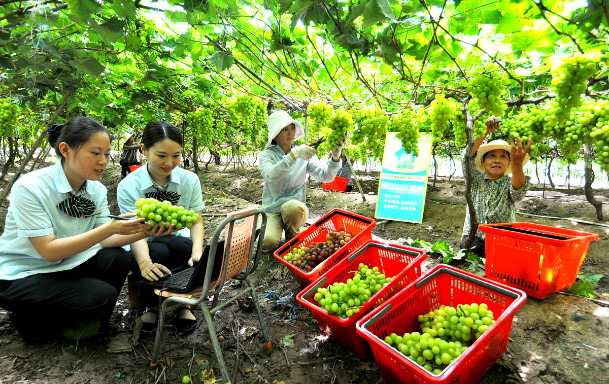 安庆立人中等专业学校2023年招生计划：招生人数、专业设置及优势