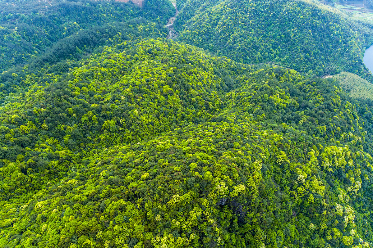 浙江公路技师学院测绘工程技术是好专业么毕业能干啥工作呢