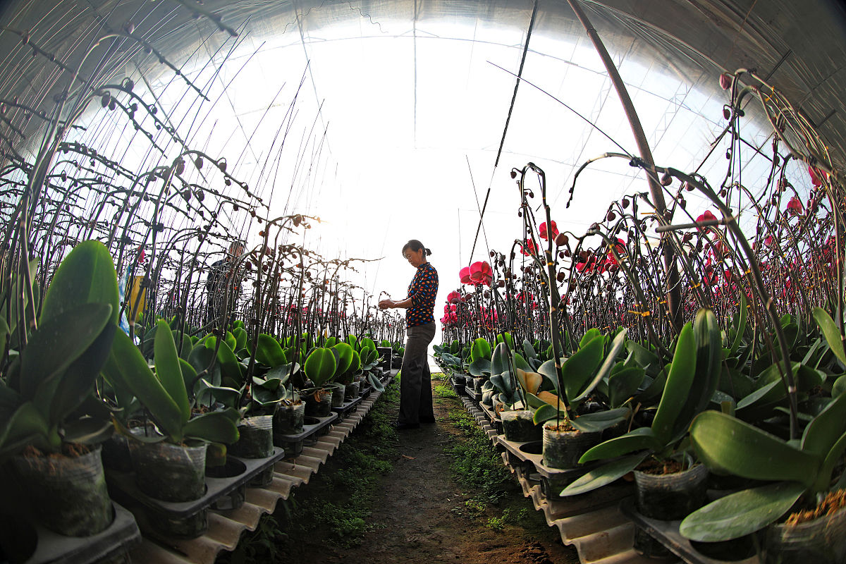 河北2023年男生上中专学校学什么专业好怎么样