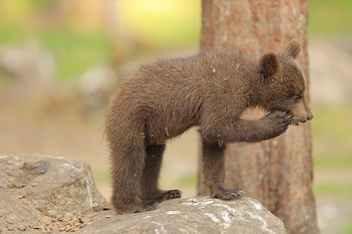 心情不好，怎么办？