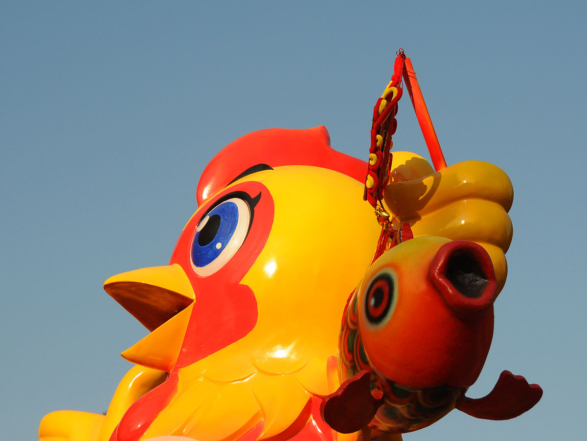 为什么说鸡年是两年半