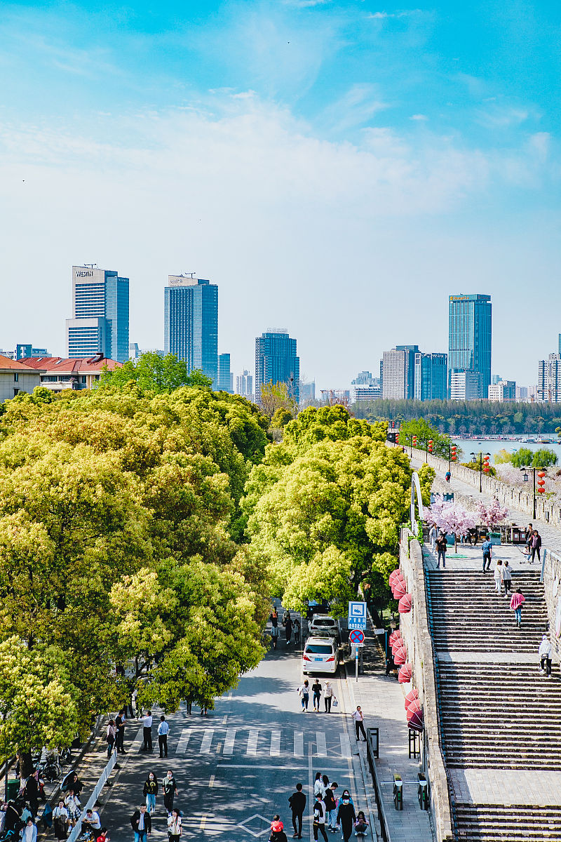 2021年3月26日,春日的南京城墙,绿树樱花,很<strong>好看</strong>,尤其是玄武湖一段的
