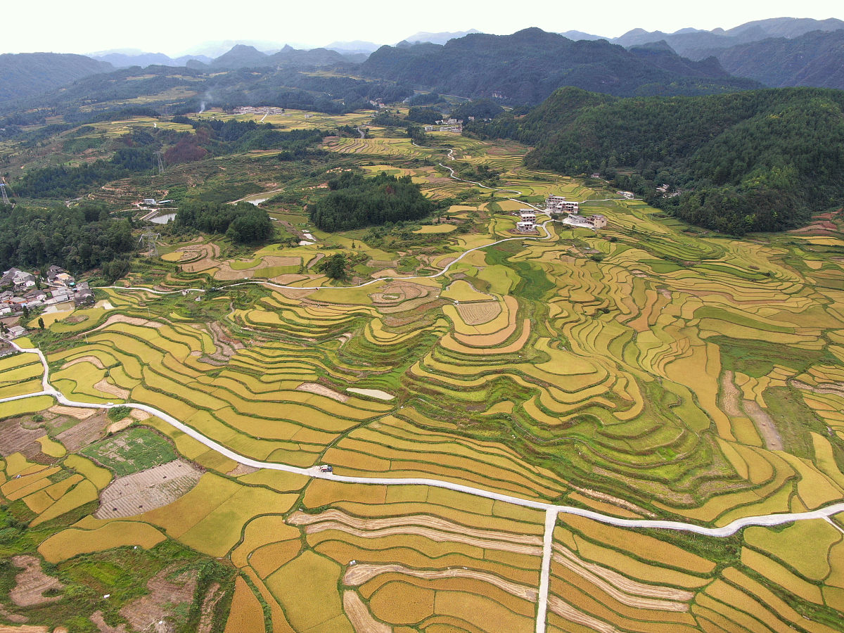 2021年龙里中等职业学校招生简章 | 培养职业人才，成就美好未来